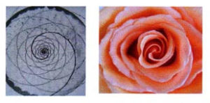 Spirale