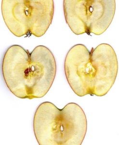 Äpfel
