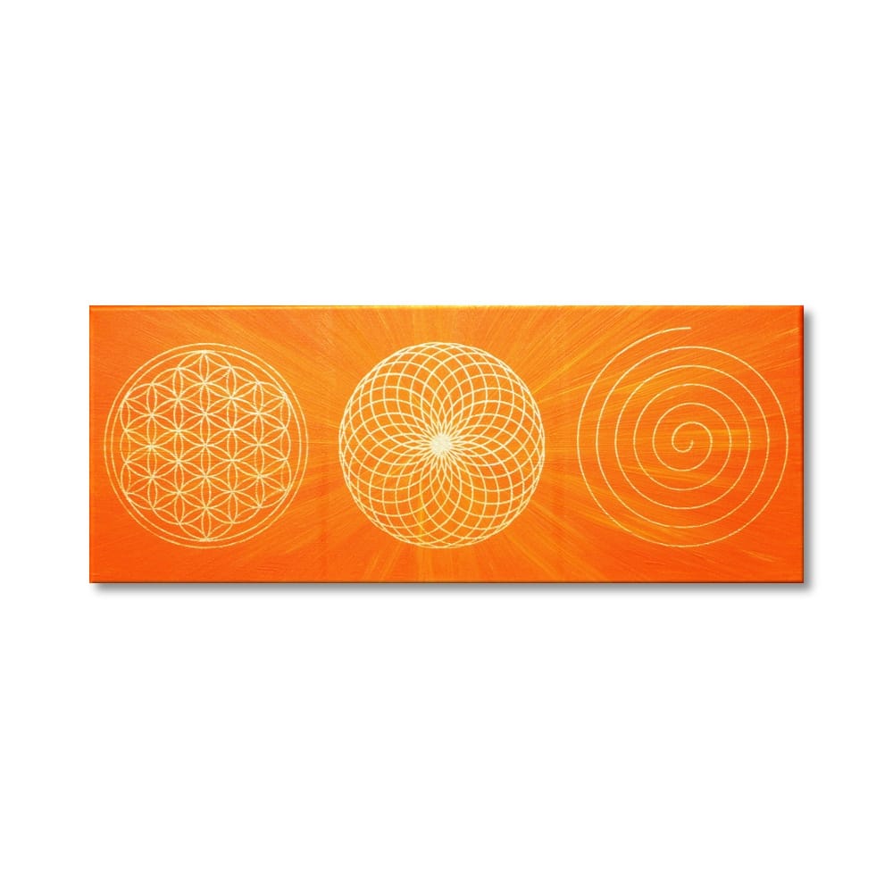 Wandbild Energiebahnen Blume des Lebens Spirale Torus Gold ab Größe 30cm x 90cm - Energiebild handgemalt