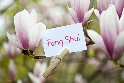 Feng Shui Analyse Wohnraum