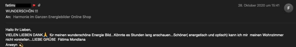Energiebild bei einer Kundin oder einem Kunden